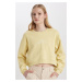 DEFACTO Boxy Fit Crew Neck Thick Fabric Sweatshirt