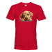 Pánské tričko s potlačou H Labrador - vtipné tričko