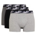 DEFACTO Regular Fit 3-Piece Boxer