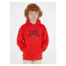 Red Boys' Hoodie Tommy Hilfiger - Boys