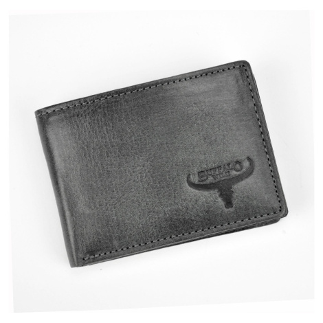 Malá pánska peňaženka Wild N1184-HP skl