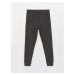 LC Waikiki Slim Fit Men's Jogger Sweatpants