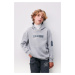 DEFACTO Boy Oversize Wide Pattern Hooded Printed Thick Sweatshirt