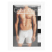 Calvin Klein BOXER BRIEF 3PK