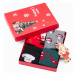 Edoti Men's socks X-mas box