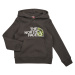 The North Face  Boys Drew Peak P/O Hoodie  Mikiny Šedá