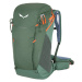 Salewa batoh Alp Trainer 25l duck green