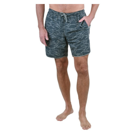 Bushman Pánske kúpacie kraťasy Lot, šedé