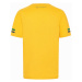 Ayrton Senna pánske tričko Stripe yellow 2024