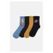 Trendyol Multicolor Men's 4-Pack Socks