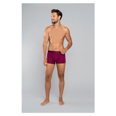 Umberto Boxer Shorts - Wine Italian Fashion