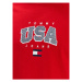 Tommy Jeans Tričko Classic Modern Sport USA DM0DM16406 Červená Regular Fit