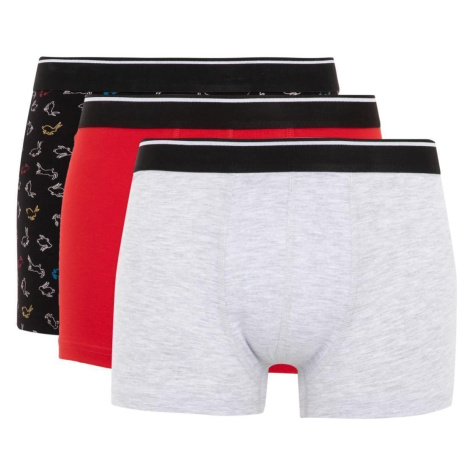 DEFACTO Regular Fit 3-Pack Boxer