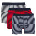 DEFACTO Regular Fit 3-Piece Boxer