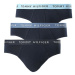 Tommy Hilfiger Wb Brief M UM0UM02389