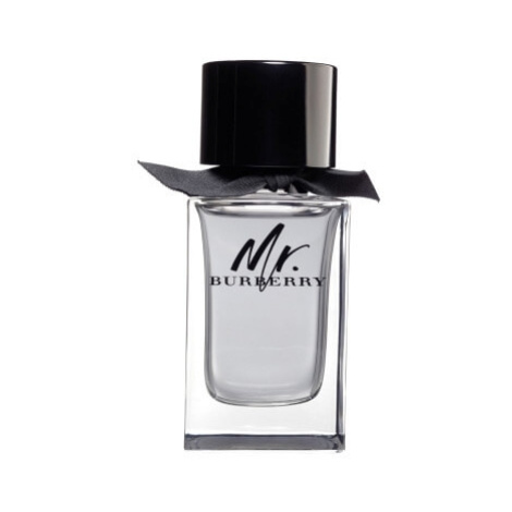 Burberry Mr. Burberry - EDT 150 ml