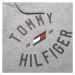 Tommy Hilfiger VARSITY GRAPHIC HOODY Pánska mikina, sivá, veľkosť