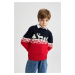 DEFACTO Boy's New Year's Themed Crew Neck Sweater