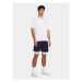 Under Armour Športové kraťasy Ua Woven Wdmk Shorts 1383356-410 Tmavomodrá Loose Fit