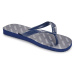 Havaianas  LOGOMANIA ESSENTIAL  Žabky Modrá