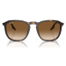 Ray-ban  Occhiali da Sole  RB2203 902/51  Slnečné okuliare Hnedá