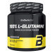 BioTech USA 100% L-Glutamine 240 g