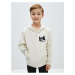 LC Waikiki Printed Long Sleeve Boys' Hoodie