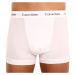 3PACK pánske boxerky Calvin Klein viacfarebné (U2662G-i03)