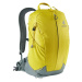 Deuter AC Lite 17 greencurry-teal