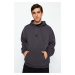 Trendyol Anthracite Regular/Normal Cut Hooded Fleece/Warm Sweatshirt