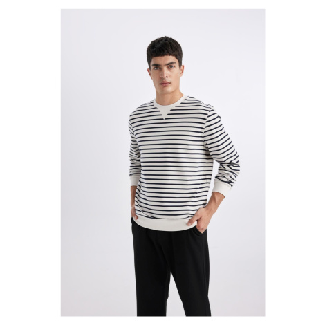 DEFACTO Modern Fit Crew Neck Striped Sweatshirt