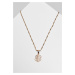 Dollar necklace - gold color