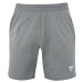 Men's Shorts Tecnifibre Club Short Silver