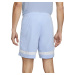 PÁNSKE ŠPORTOVÉ ŠORTKY NIKE DRI-FIT ACADEMY SHORTS CW6107-548