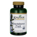 Swanson Chasteberry Fruit (Drmek obyčajný), 400 mg, 120 kapsúl