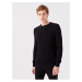 LC Waikiki Crew Neck Long Sleeve Men's Knitwear Sweater