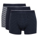 DEFACTO Regular Fit Patterned 3-Pack Boxer