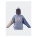 Adidas Mikina Essentials Big Logo Oversized French Terry Hoodie IC9870 Modrá Loose Fit