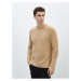 LC Waikiki Crew Neck Long Sleeve Men's Knitwear Sweater