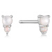 Ania Haie E034-02H Earrings - Rising Star