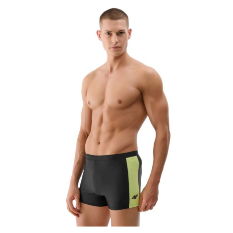 Plavecké šortky 4F M044 M 4FWSS25USWTM044 020S