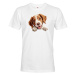 Pánské tričko Bretónsky stavač - tričko pre milovníkov psov