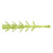 Savage gear gumová nástraha craft crawler chartreuse - 12,5 cm 6,4 g 6 ks