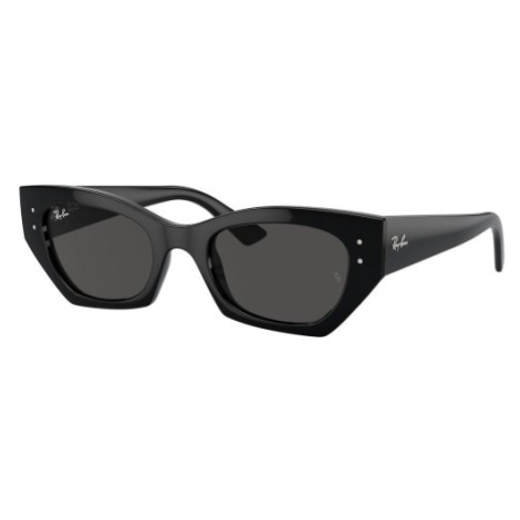 Ray-Ban RB4430 667787 - L (52)