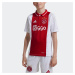 Detský domáci futbalový dres Ajax 24/25