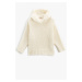 Koton Hooded Knitted Sweater Basic Soft Textured Long Sleeve