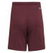 Squadra 21 Short Jr GN8081 - Adidas