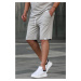 Madmext Stone Color Basic Men's Shorts 6501