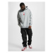 Thug Life Saboteur Hoody grey