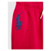 Polo Ralph Lauren Teplákové nohavice Boston 313854719004 Ružová Regular Fit